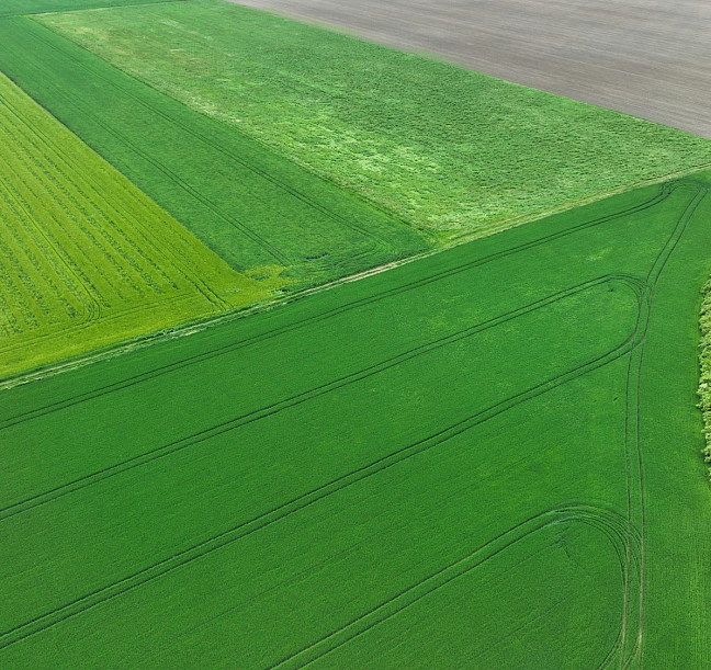 Обзор рынка промышленной земли, ноябрь 2025